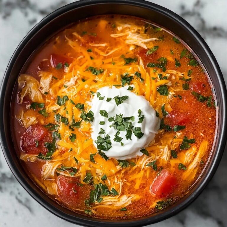 Crock Pot Chicken Fajita Soup Recipe